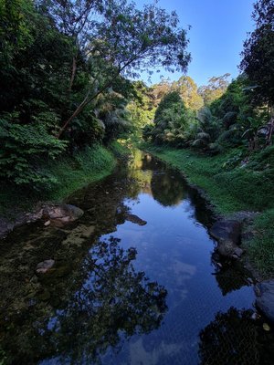 Jess Hon, Scenic View, 2021, Photographic Print-CHG-2036982