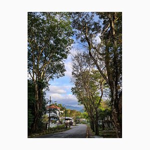 Jess Hon, Scenic View of a Hill, 2021, Photographic Print-CHG-2036983