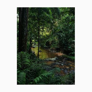 Jess Hon, Scenic View of a Stream, 2023, Photographic Print-CHG-2036969