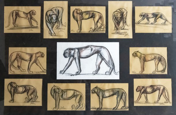 Johan Etiennette, Panther, Pastel Sketches on Paper, Framed-ZVH-1317685