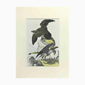 Johann Friedrich Naumann, Eagles, Etching, 1840-ZCI-2029088