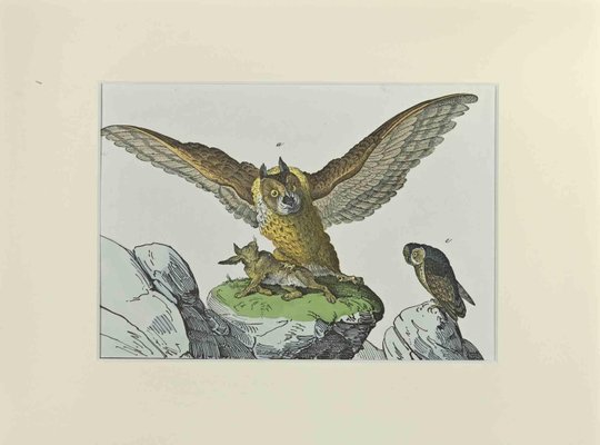 Johann Friedrich Naumann, Great Owl, Etching, 1840-ZCI-2025219