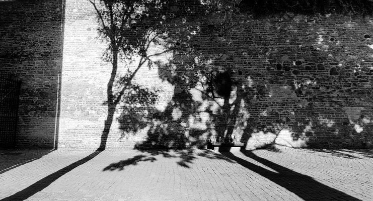 Justina Napiórkowska, Shadows, 2021, Photograph-XHG-1214516