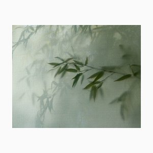 Kimberly Poppe, Bamboo, Limited Edition Fine Art Print-TJZ-1337874