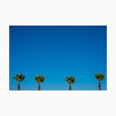 Kimberly Poppe, California Dreamin, Photographic Print-TJZ-1336740