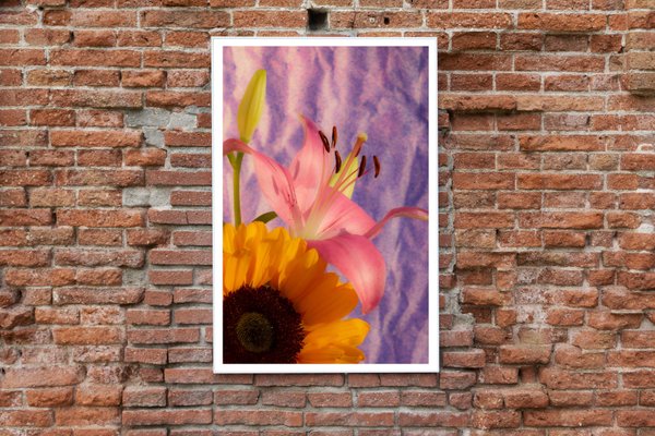 Kind of Cyan, Sunflower Lily, 2021, Giclée Print on Photographic Paper-RWC-1064169