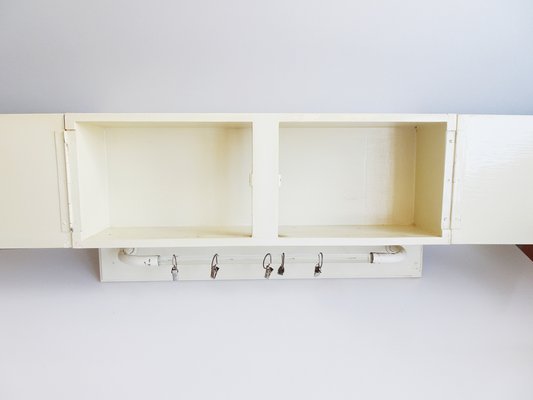 Kitchen Hanging Cabinet with Glass Hook Bar, Germany, 1950s-POM-1359761