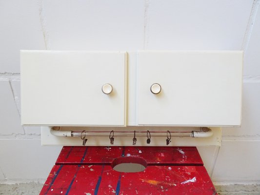 Kitchen Hanging Cabinet with Glass Hook Bar, Germany, 1950s-POM-1359761