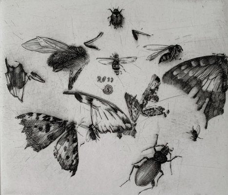 Krzysztof Skórczewski, Insects Rural Sketches, 2011-XHG-928007