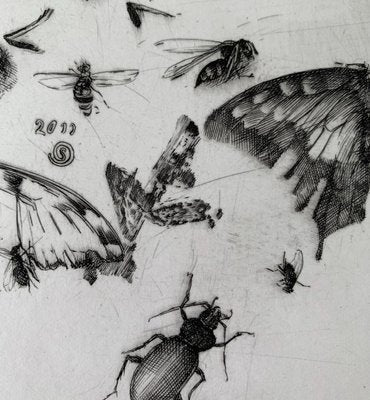 Krzysztof Skórczewski, Insects Rural Sketches, 2011-XHG-928007