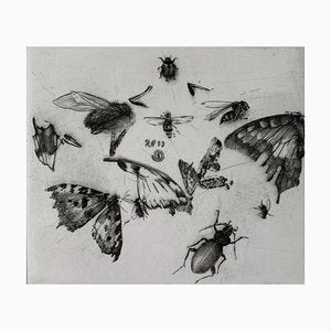 Krzysztof Skórczewski, Insects Rural Sketches, 2011-XHG-928007