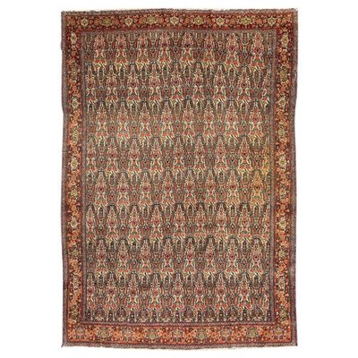 Kurdish Senneh Rug-YMM-1062021