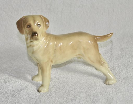 Labrador Dog from Coopercraft, 1970s-ROJ-2040509