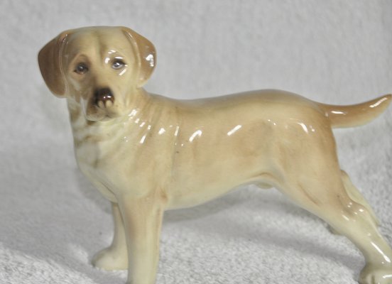 Labrador Dog from Coopercraft, 1970s-ROJ-2040509