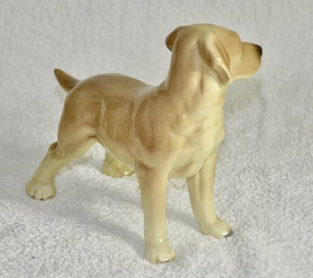 Labrador Dog from Coopercraft, 1970s-ROJ-2040509