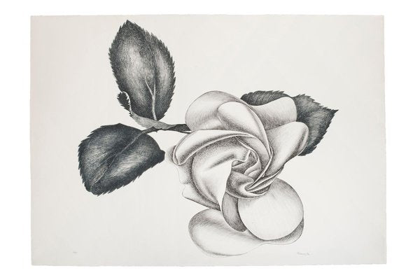 lack Rose - Original Etching by Giacomo Porzano - 1972 1972-ZCI-761833