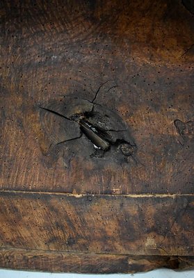 Large 17th Century Oak Bench with High Backsplash-RVK-742448