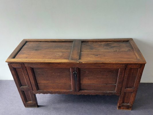 Large 17th Century Panelled Oak Coffer-NV-1324759