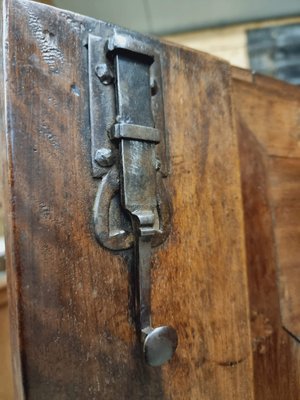 Large 18th Century Walnut Cabinet-IFQ-1794887