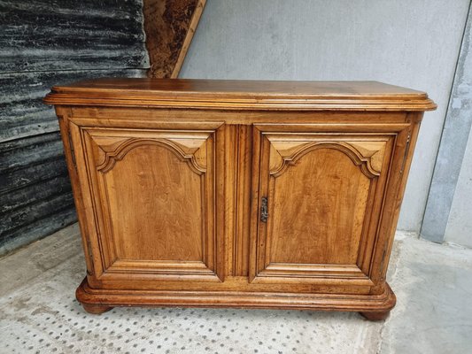 Large 18th Century Walnut Cabinet-IFQ-1794887