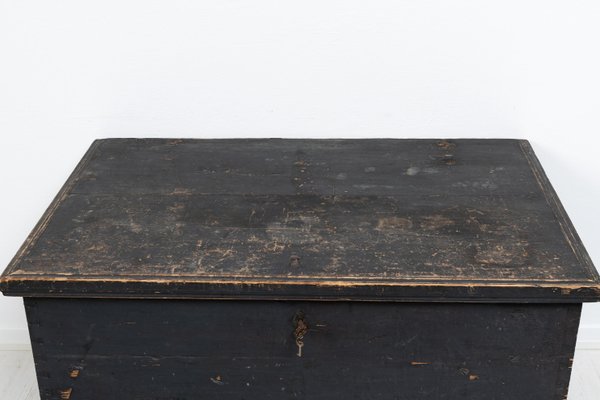 Large 19th Century Swedish Painted Hope Chest-MJF-1375286