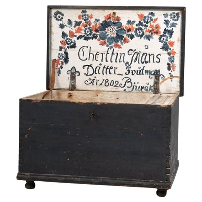 Large 19th Century Swedish Painted Hope Chest-MJF-1375286