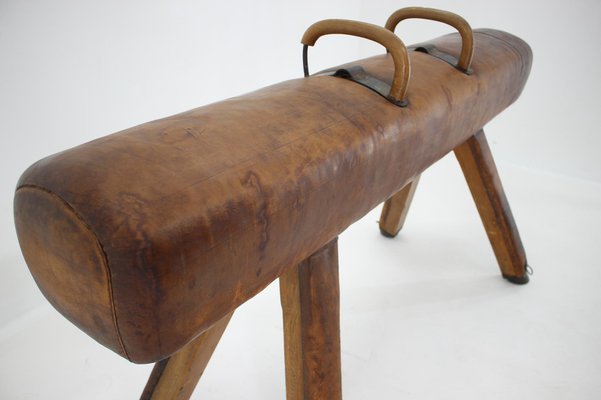 Large Adjustable Gymnastic Leather Pommel Horse, 1950s-TZ-982926