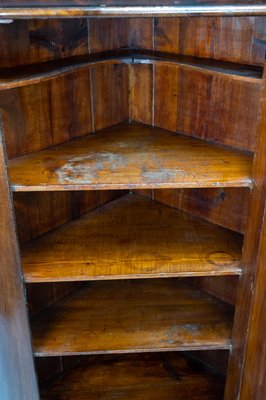 Large Antique Corner Cabinet in Mahogany, 1840s-UY-951527