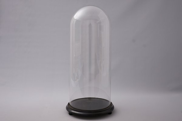 Large Antique Glass Dome, 1900s-XNJ-1345321