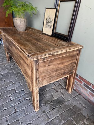 Large Antique Oak Blanket Chest, 1850s-GTG-1804822