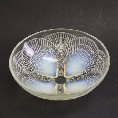 Large Art Deco Opalescent Shell Bowl by René Lalique, 1924-SY-1774516