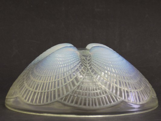 Large Art Deco Opalescent Shell Bowl by René Lalique, 1924-SY-1774516