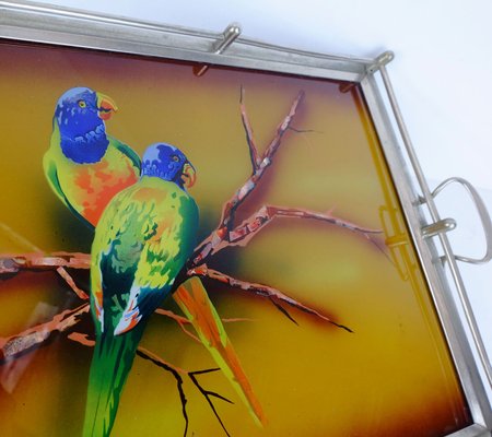 Large Art Deco Tray in Glass & Metal with Parrot Motif, 1920s / 30s-FH-1325113