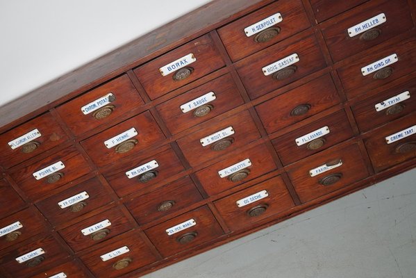 Large Belgian Pitch Pine Apothecary Cabinet with Enamel Shields, 1900s-XO-1743204