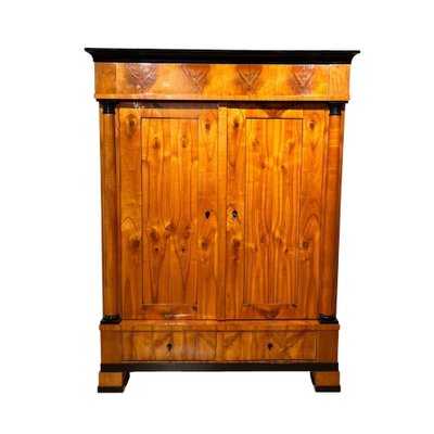 Large Biedermeier Armoire in Cherry, South Germany, 1820s-NNB-1757276