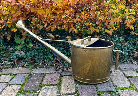 Large Brass Garden Watering Can, 1930s-WZZ-1758152