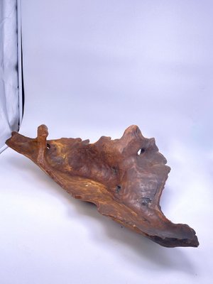 Large Brutalist Wood Bowl in Brown Patina, France, 1960s-UR-1315554