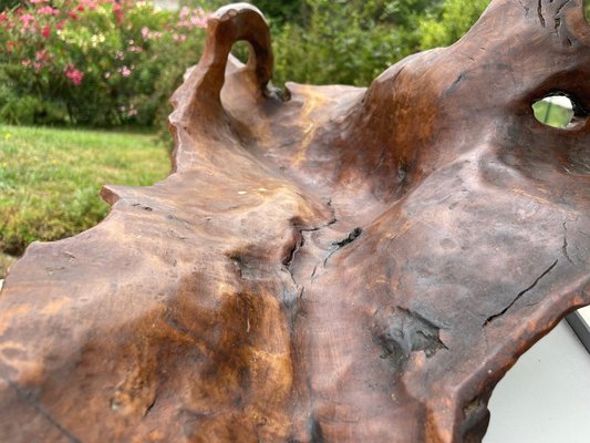 Large Brutalist Wood Bowl in Brown Patina, France, 1960s-UR-1315554