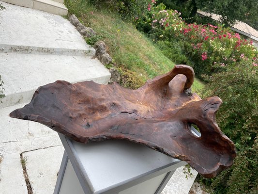 Large Brutalist Wood Bowl in Brown Patina, France, 1960s-UR-1315554