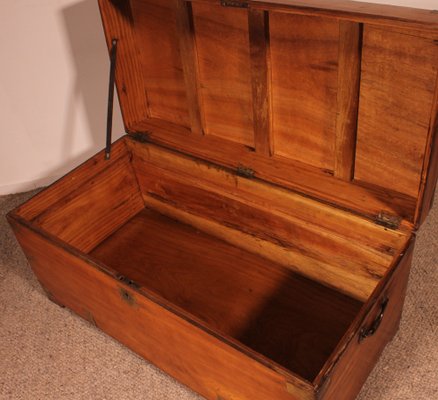 Large Campaign Chest in Camphor Wood, 19th Century-HPU-1765833