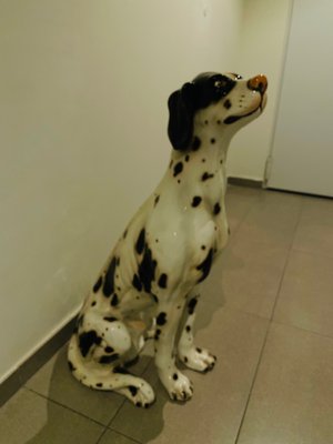 Large Dalmatian Dog Statue from Bassano, Italy, 1970s-OPE-1082979