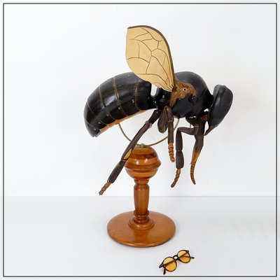 Large Didactical Model of a Bee, 1950-NYF-2018801