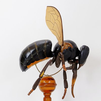 Large Didactical Model of a Bee, 1950-NYF-2018801