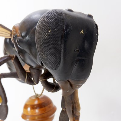 Large Didactical Model of a Bee, 1950-NYF-2018801