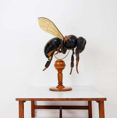 Large Didactical Model of a Bee, 1950-NYF-2018801