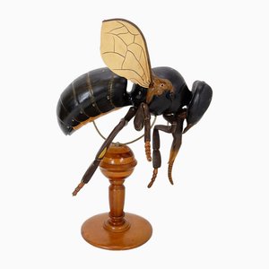 Large Didactical Model of a Bee, 1950-NYF-2018801