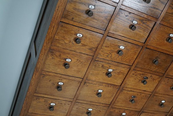 Large Dutch Oak Apothecary Cabinet with Enamel Shields, 1900s-XO-1778192