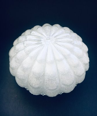 Large Frosted Flower Glass Sconce Wall Lamp from MCM, 1960s-RQV-1388873