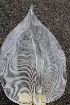 Large Leaf Wall Lamps in Murano Glass & Brass from Franco Luce, Italy, 1970s, Set of 2-EH-1728988