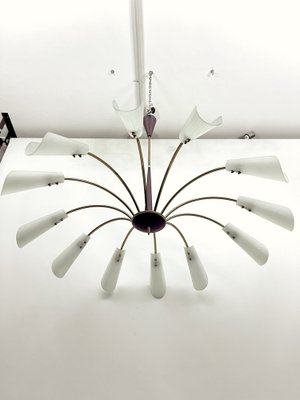 Large Mid-Century 12-Arm Chandelier in the style of Stilnovo, Italy, 1950s-OT-1699936